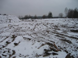 IMG 5846
