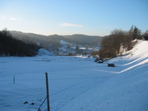 IMG 6407    