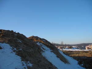IMG 6413    