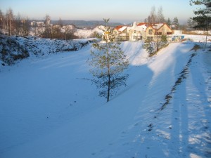 IMG 6435    