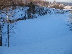 IMG 6436    