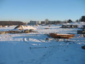 IMG 6445