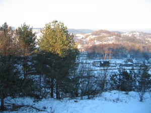 IMG 6447