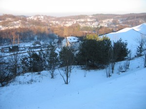 IMG 6448